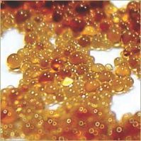 dow resin